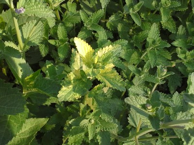 20150527_183147.jpg