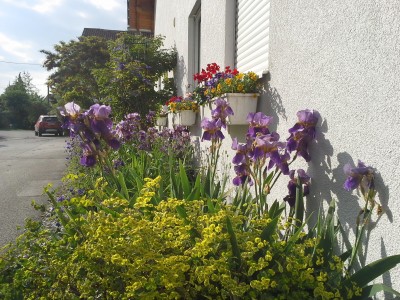 20150527_182634.jpg