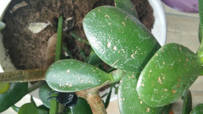 20150601_110505.jpg