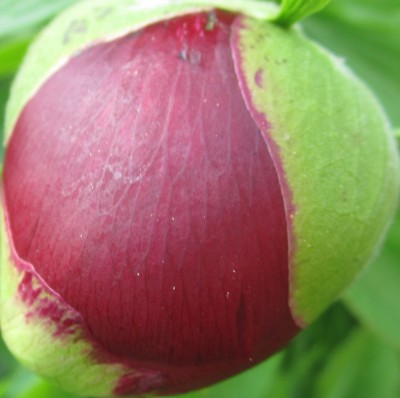 2015-05-10 18.20.28.jpg