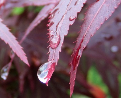 2015-06-01 08.08.51.jpg