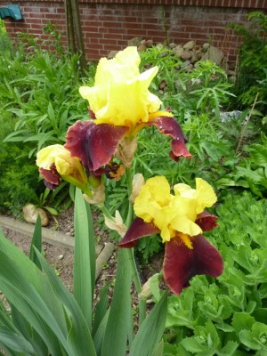 20150531 057 - Kopie.JPG