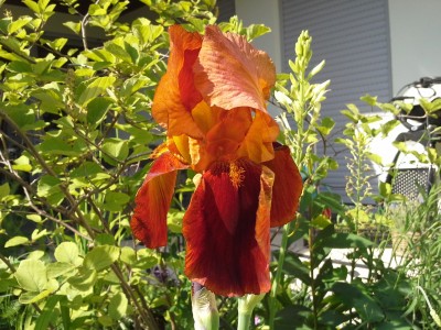 20150603_163010.jpg
