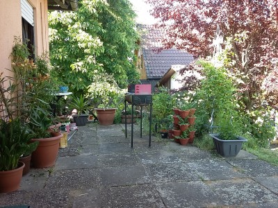 20150605_171425.jpg