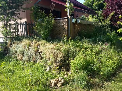 20150605_171910.jpg