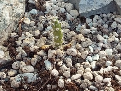 20150605_180107.jpg