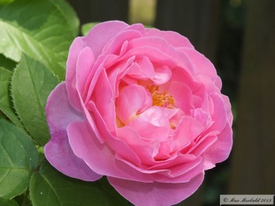 20150606_11.JPG