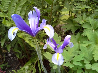 20150606_180338.jpg
