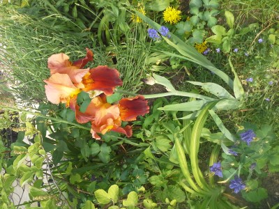 20150606_170631.jpg