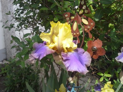 20150517_150010.jpg