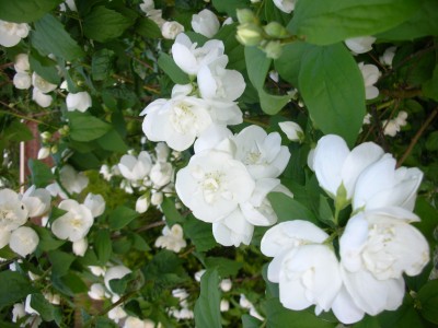 DSCN1831.JPG