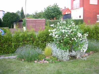 DSCN1830.JPG