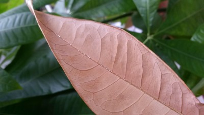 20150603_114459.jpg