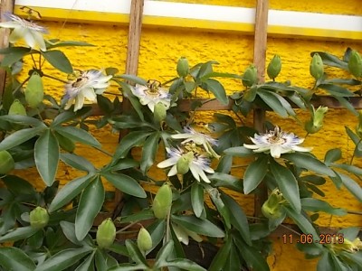 DSCN1004.JPG