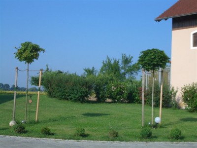 CIMG2937_1.jpg