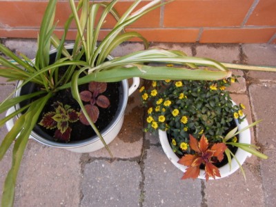 PICT0011.JPG