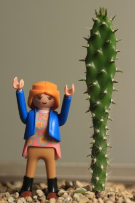 Opuntia am 14.06.2015.jpg