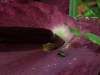 2015-06-12 E - b.jpg