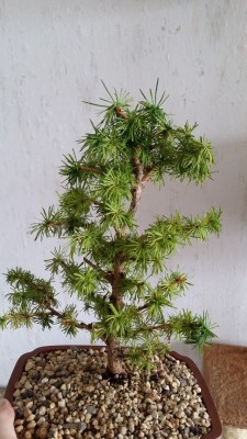 20150615_172249.jpg