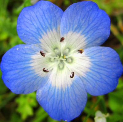 2015-06-03 10.30.05.jpg