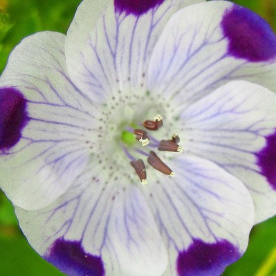 2015-06-03 10.30.12.jpg