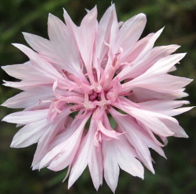 2015-06-14 19.03.26.jpg