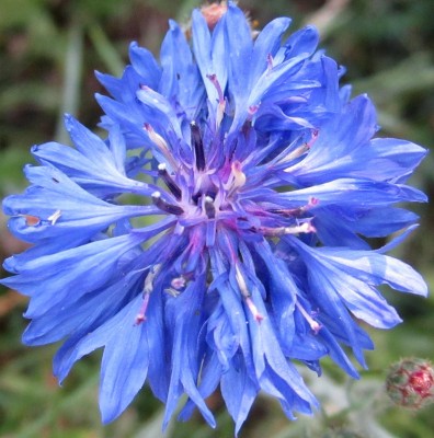 2015-06-14 19.03.20.jpg