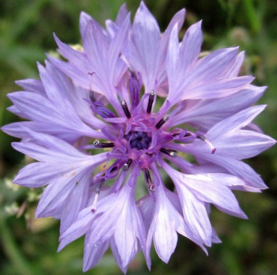 2015-06-14 19.03.14.jpg