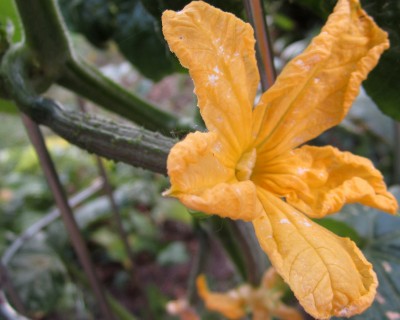 2015-06-14 19.20.41.jpg