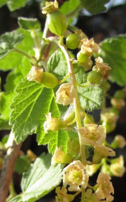 2015-05-10 18.12.39.jpg