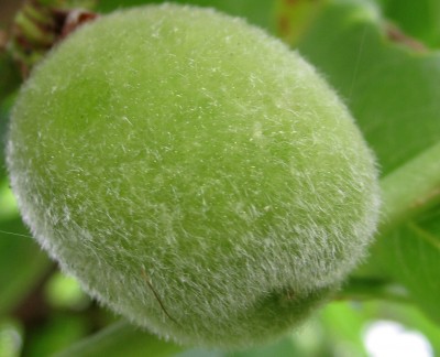 2015-06-01 08.09.55.jpg