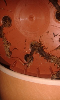 2015-06-18 14.22.38.jpg