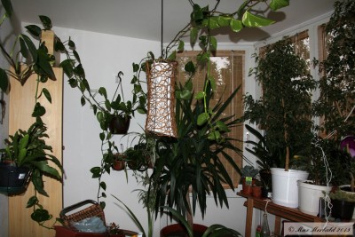 20150618_08.JPG