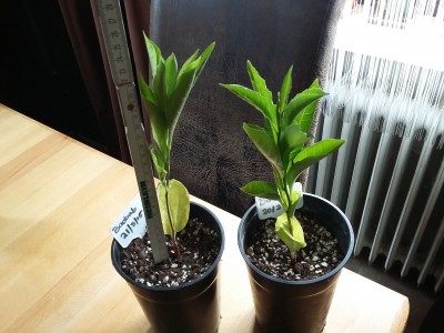 20150619_104002.jpg