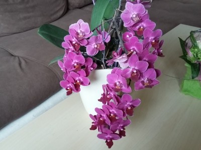 20150619_110657.jpg