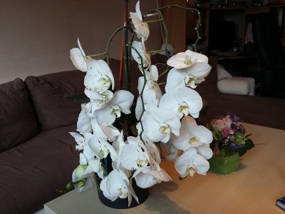 20150619_110244.jpg