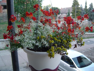 DSC03382a.jpg