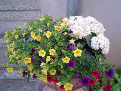 DSC03384a.jpg