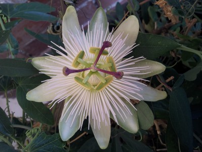 20150626_130411.jpg