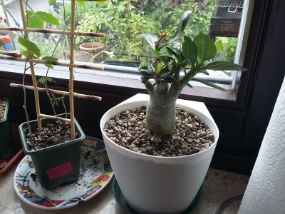20150627_092828.jpg