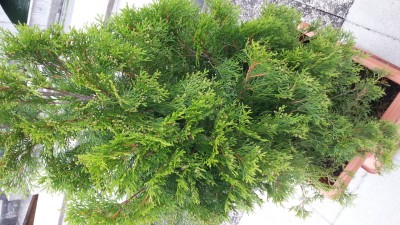 20150627_075247.jpg