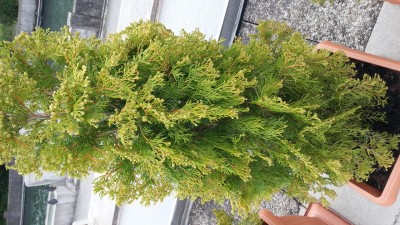 20150627_075258.jpg