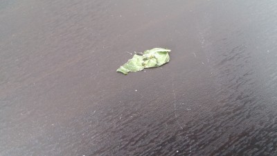 03_20150628_184707.jpg