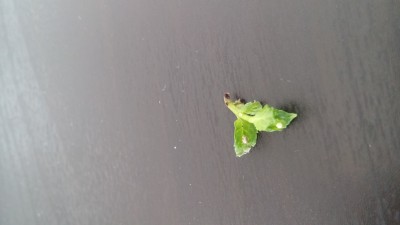05_20150628_184026.jpg