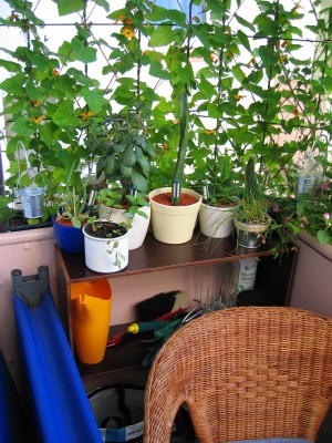 Bild 124.jpg