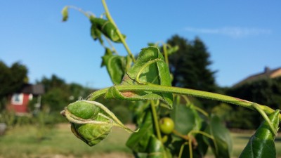 20150701_193813.jpg