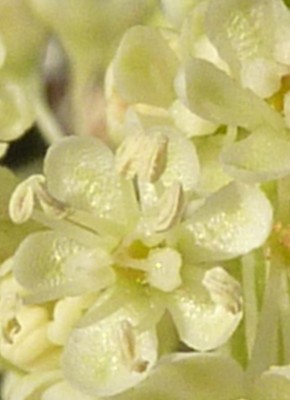 Raetsel2015062.jpg
