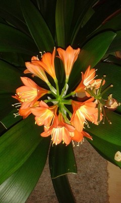 20150703_211854.jpg