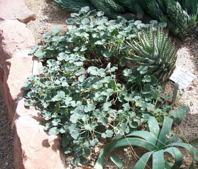 2015-06-24 - BoGa HD 089b.jpg