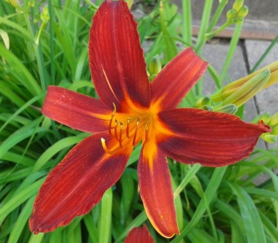 20150706_140529.jpg